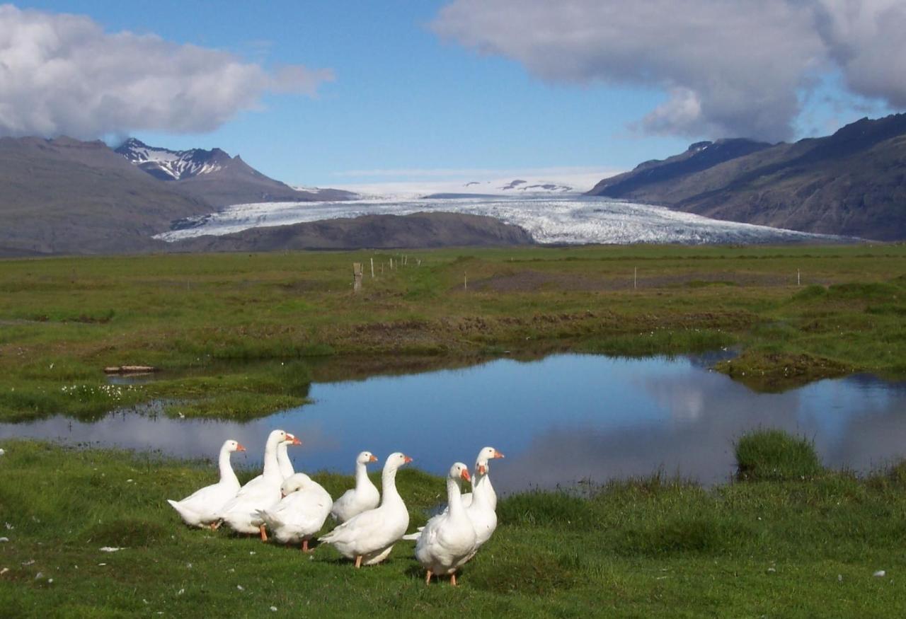 Lambhus Glacier View Cabins Höfn Buitenkant foto