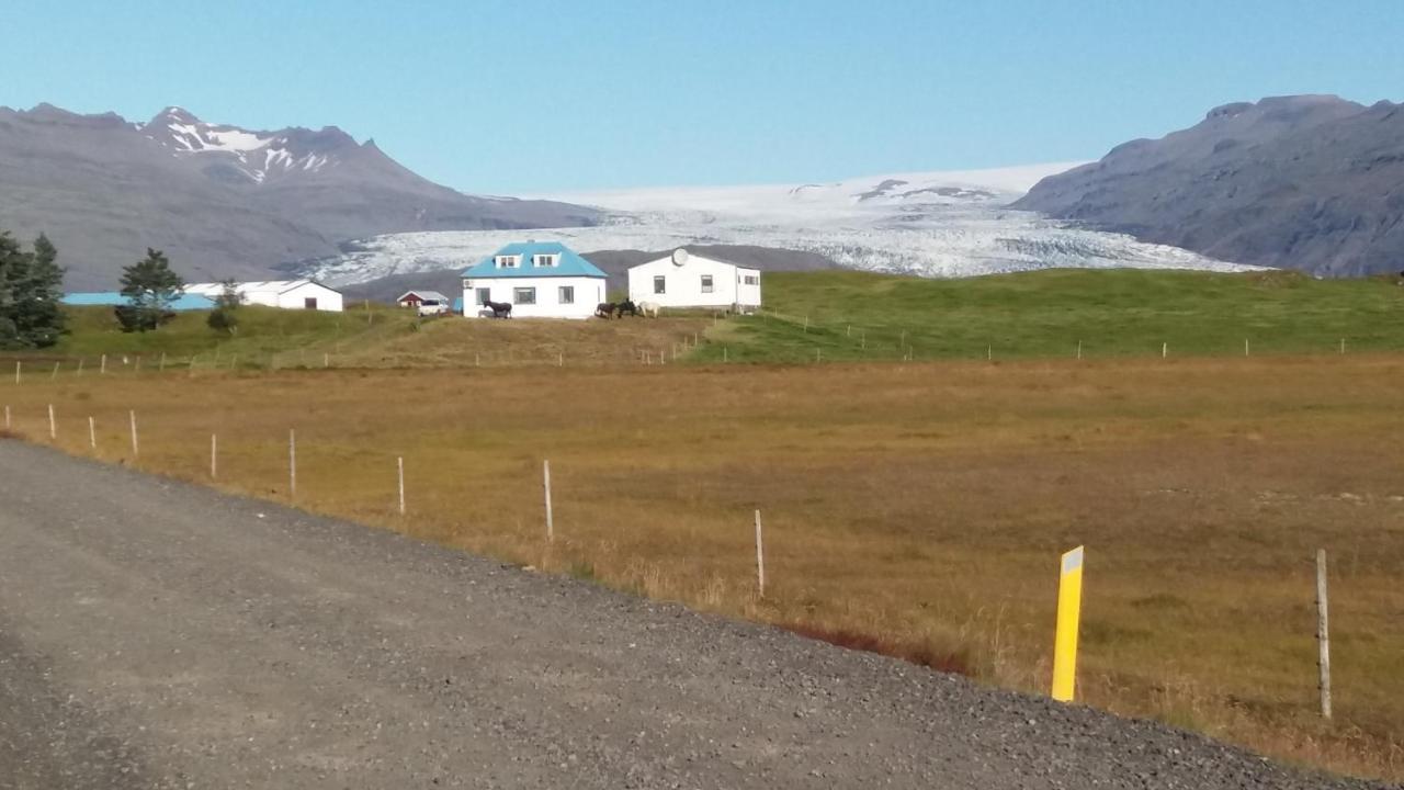 Lambhus Glacier View Cabins Höfn Buitenkant foto